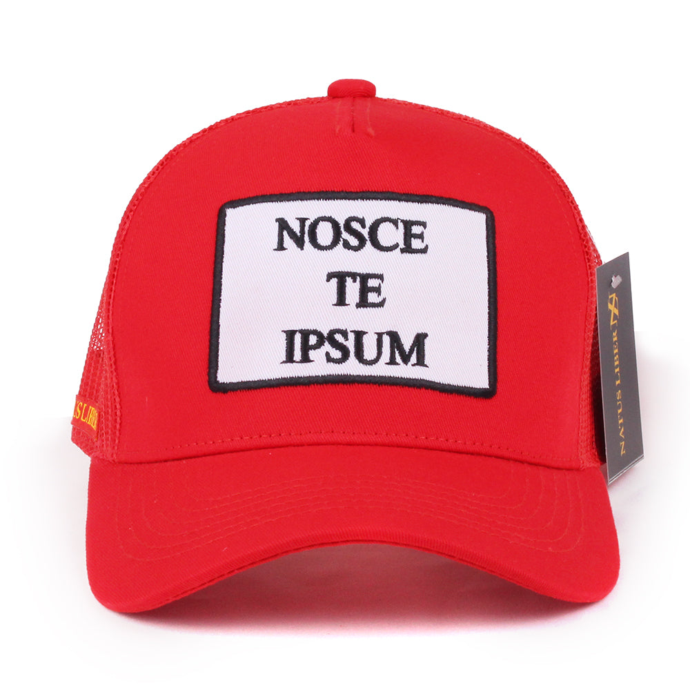 NOSCE TE IPSUM