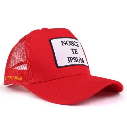 NOSCE TE IPSUM