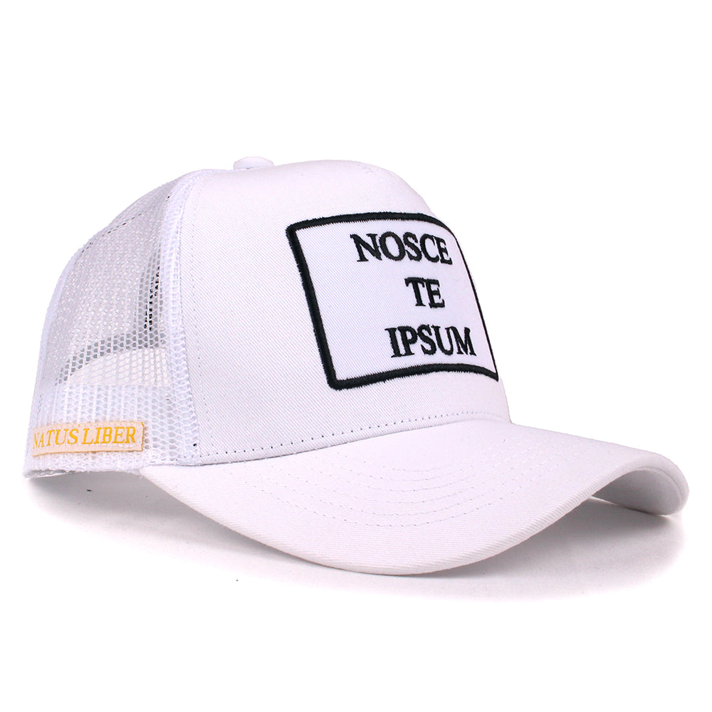 NOSCE TE IPSUM