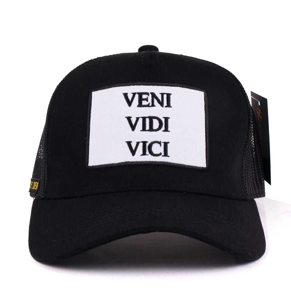 VENI VIDI VICI