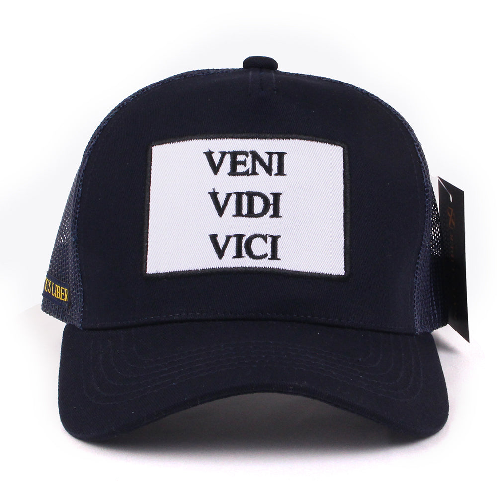 VENI VIDI VICI