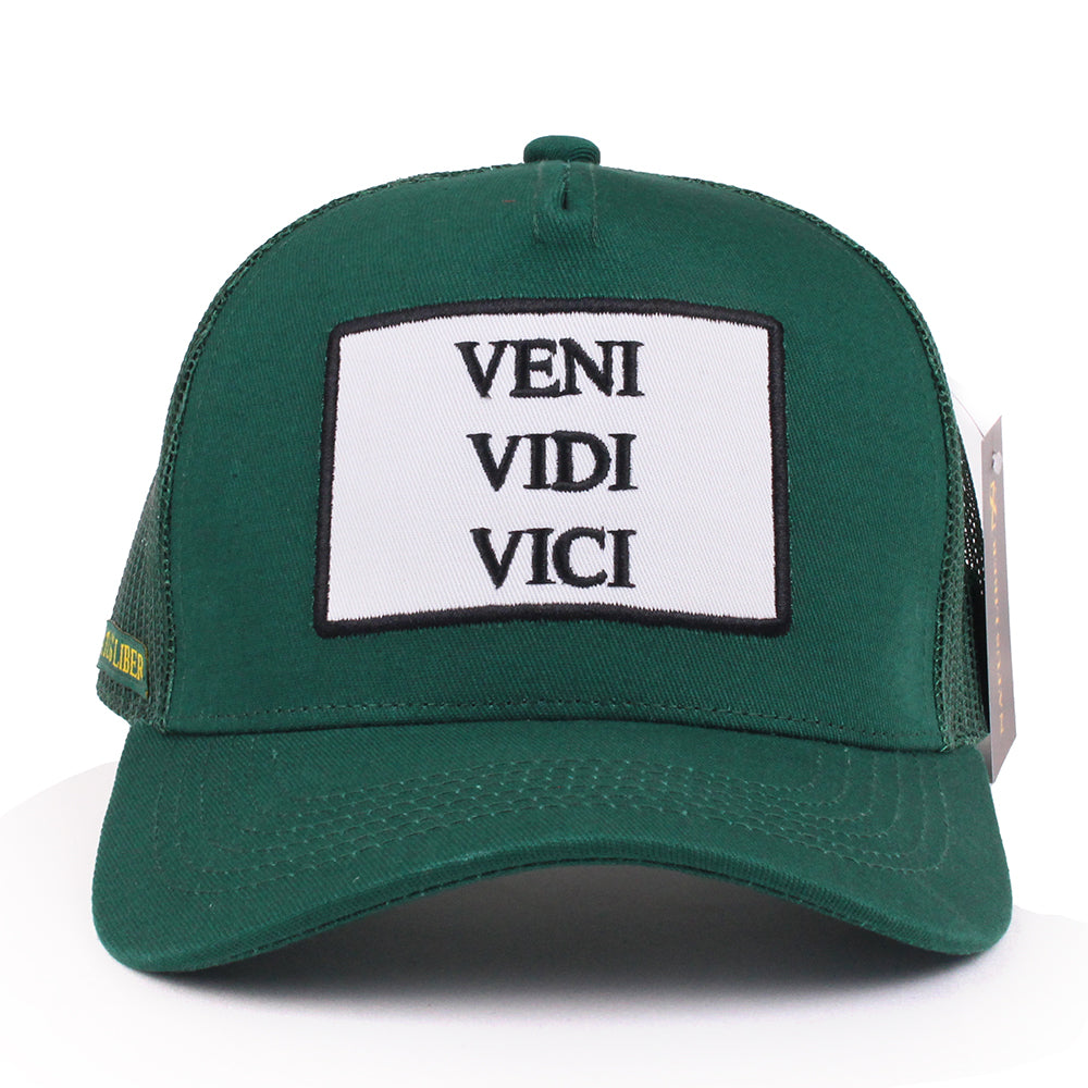 Veni, vidi, vici: a famous saying – STAR Translation Services