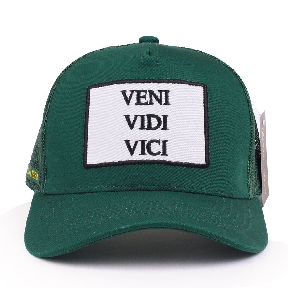VENI VIDI VICI