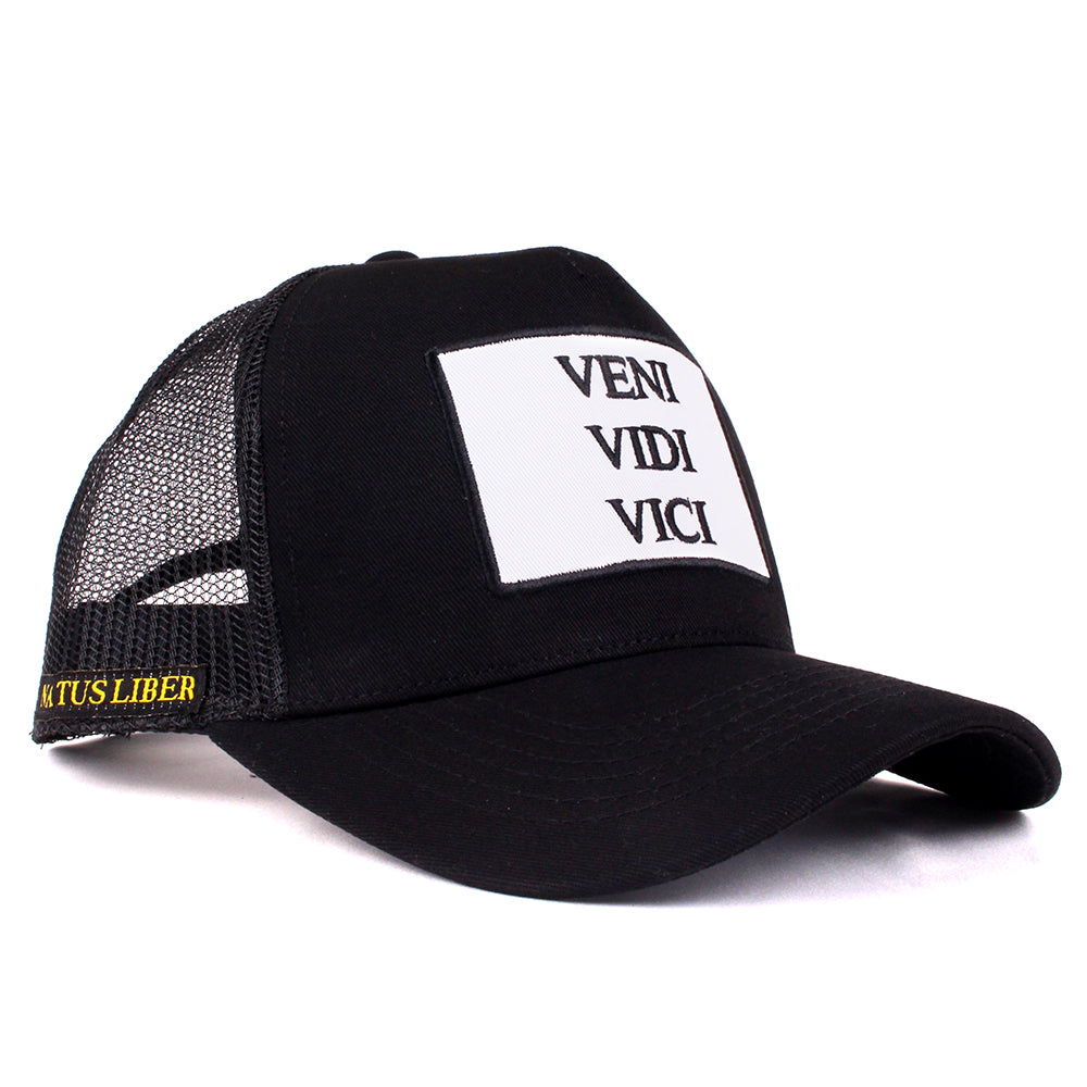 VENI VIDI VICI