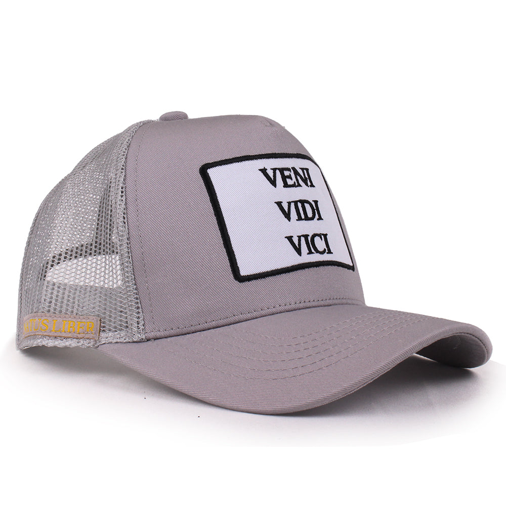 VENI VIDI VICI
