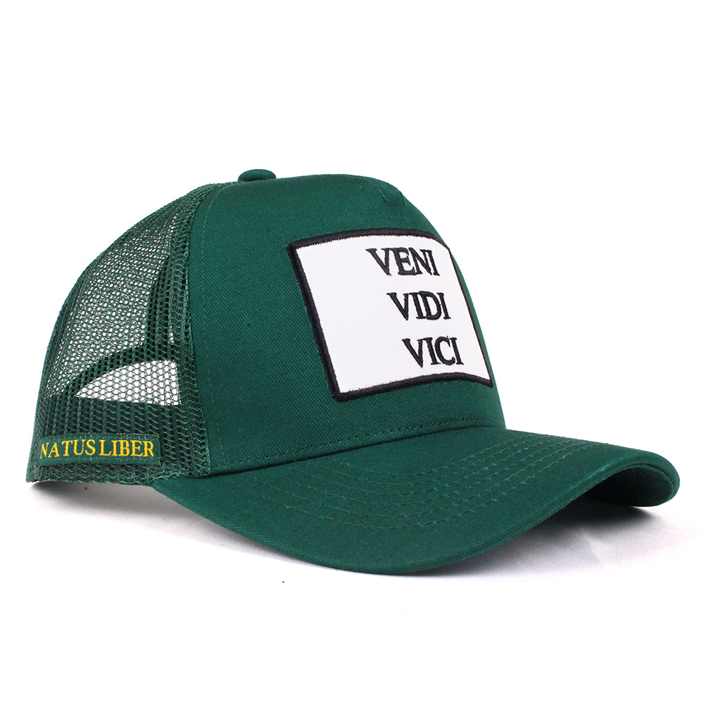VENI VIDI VICI