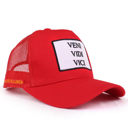 VENI VIDI VICI