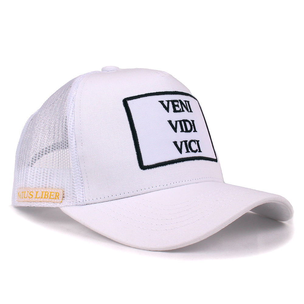 VENI VIDI VICI