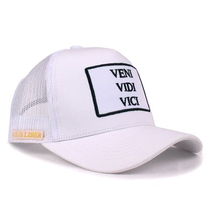 VENI VIDI VICI